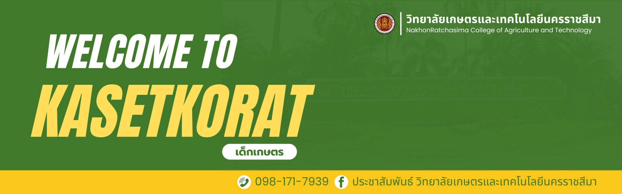 Your paragraph text-2